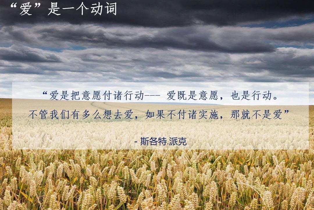 fe446505d0c043492f9923eb6c8f3a4.jpg