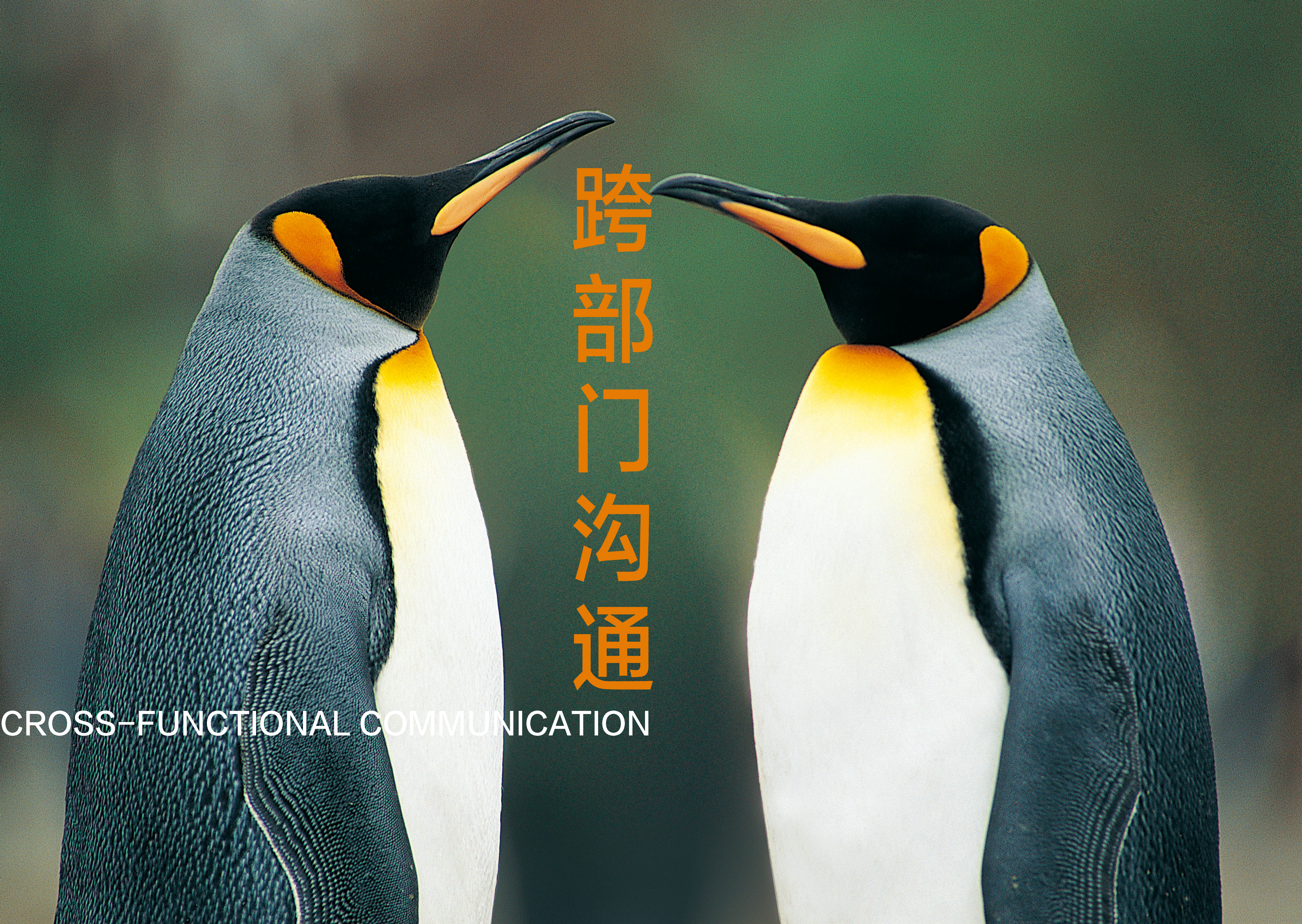 粿ŹͨЭ